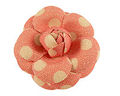 Broche