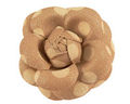 Broche