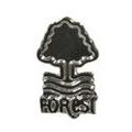 Football Souvenirs: Nottingham Forest - �rering Sterling S�lv