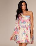 Paprika: Onesleeve Corsage Dress