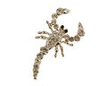 Broche med skorpion