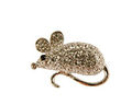 Broche