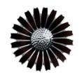 Georg Jensen: DAISY brooch/pendant - rhodinated sterling silver with black enamel