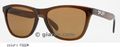 Oakley: Oakley OO9013-FROGSKIN